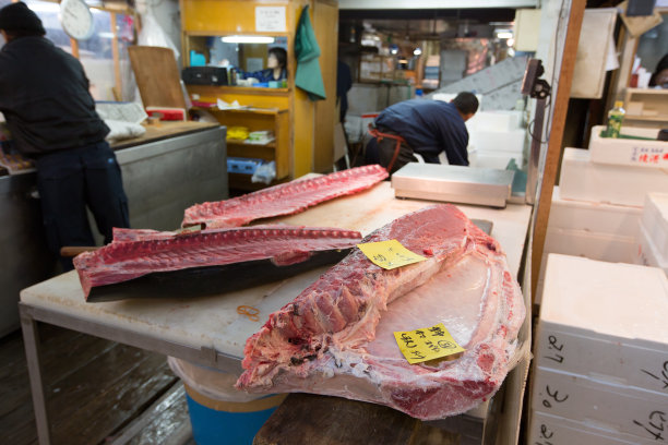 日本东京筑地鱼市图片下载