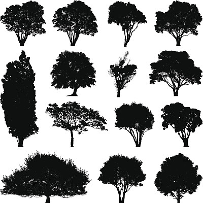 树的轮廓图片下载