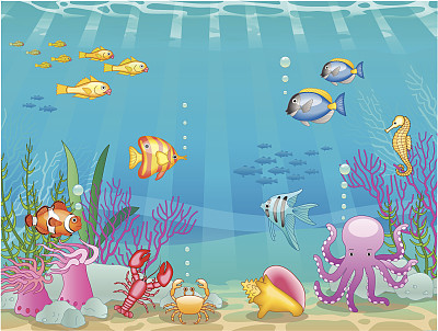 水下的场景图片下载