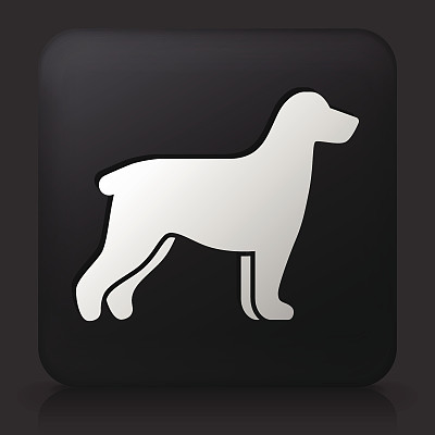 黑色方形按钮与狗剪影图片下载