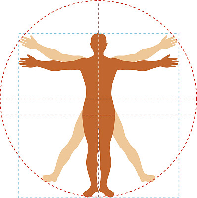 维特鲁威人图片下载