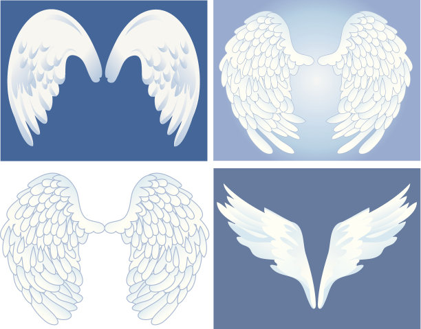 白色的翅膀图片下载
