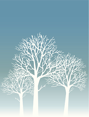 冬天的树图片下载