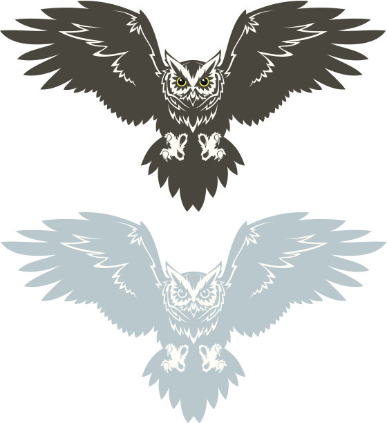 猫头鹰图片下载