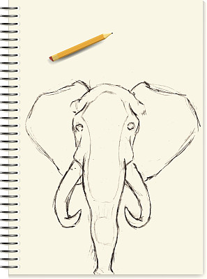 素描,大象图片下载