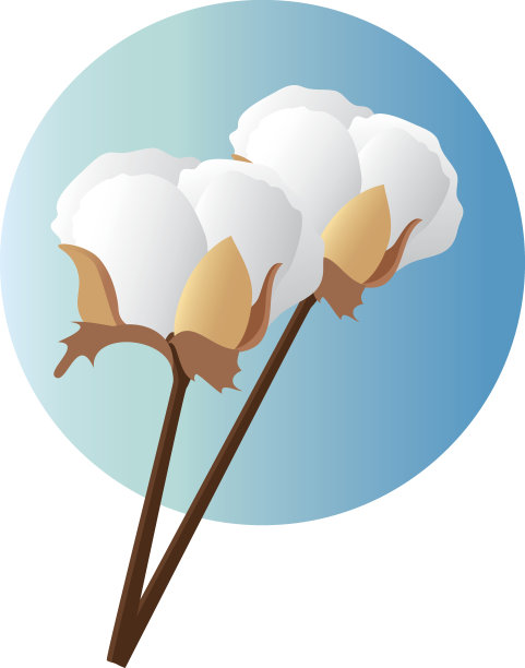 棉花图片下载