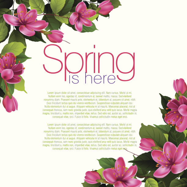 春天的背景图片下载