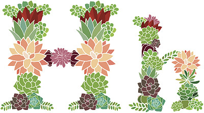 多肉的字母H和H图片下载