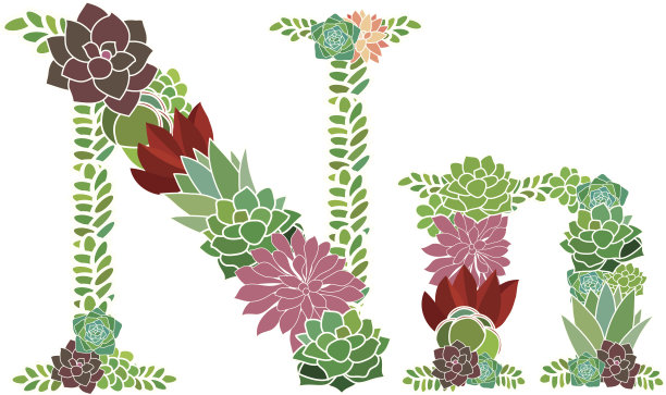 肉质字母N和N图片下载