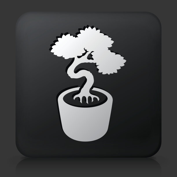 黑色方形纽扣与盆景树图片下载