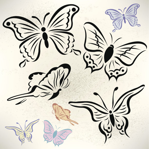 蝴蝶-春天图片下载