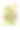 黄色和黑色苦豌豆和豌豆维多利亚植物学插图图片下载