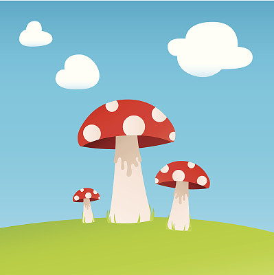 一个阳光明媚的日子里的毒蕈图片下载