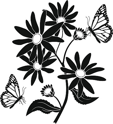 黑眼睛的苏珊和黑脉金斑蝶图片下载