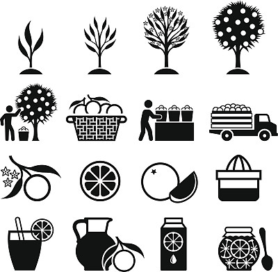 橙树种植和有机农业黑白图标图片下载
