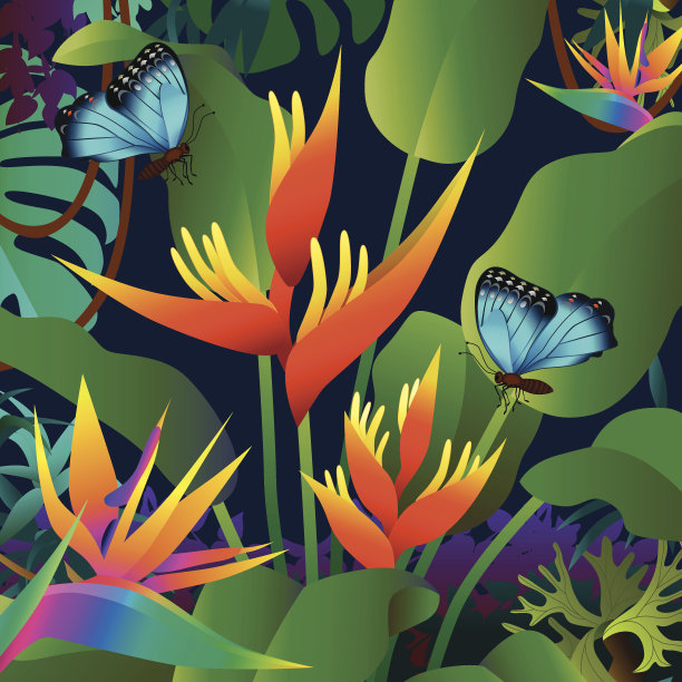 橙色的螺旋藻和大闪蝶图片下载