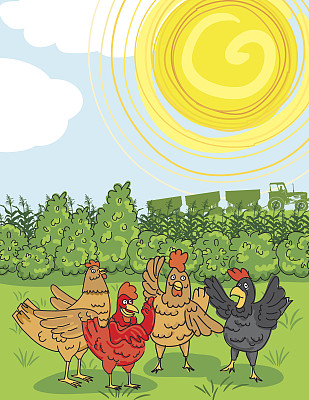 在农场草地上闲聊的鸡图片下载