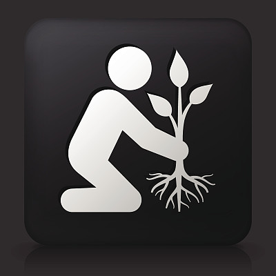 黑色方形按钮与种植树图标图片下载