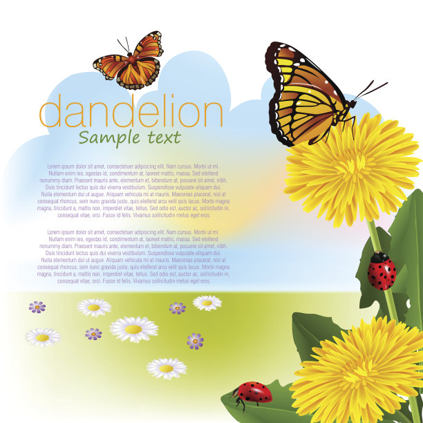 蒲公英图片下载