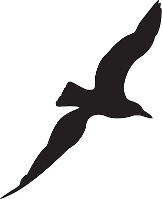 海鸥轮廓图片下载