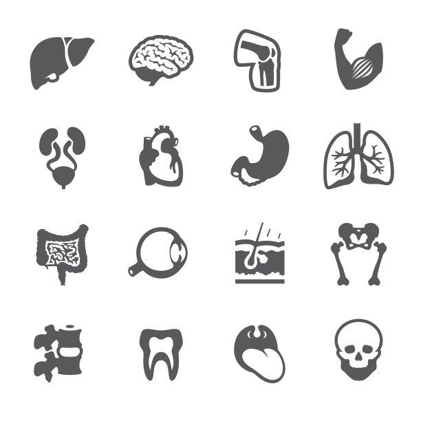 Mobico图标-人体图片下载