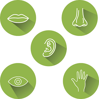 五种感官的图标图片下载