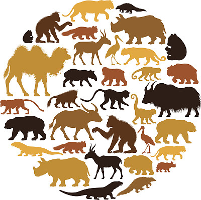 亚洲动物拼贴图片下载