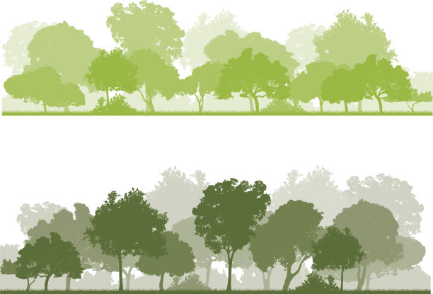 春天的森林图片下载
