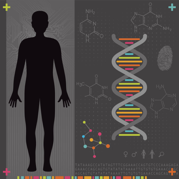 人体- DNA图片下载