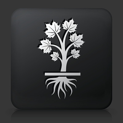 黑色方形按钮与生长的植物图片下载