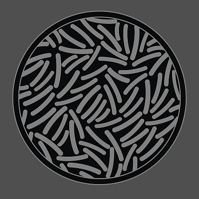 致病性细菌培养图片下载