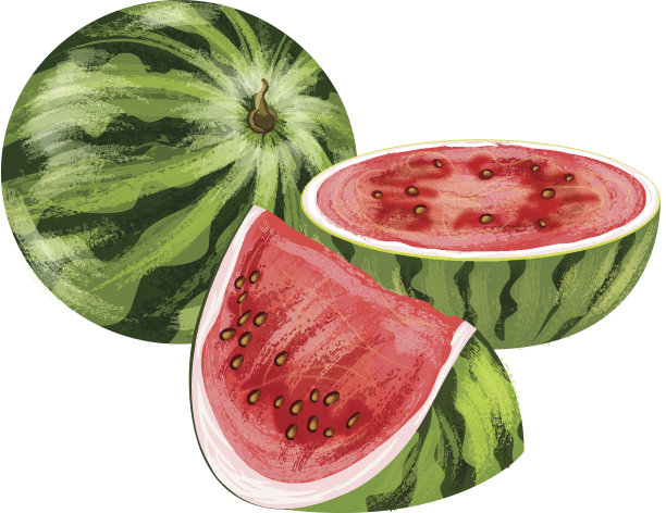 西瓜果实图片下载