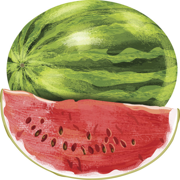 西瓜果实图片下载