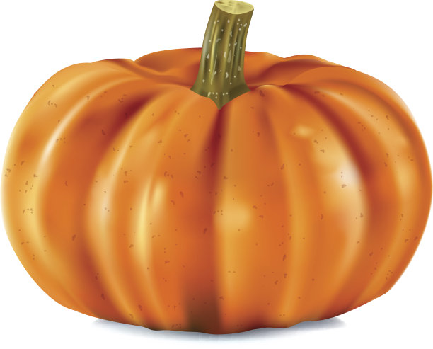 南瓜图片下载