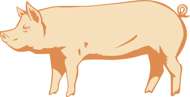 猪图片下载