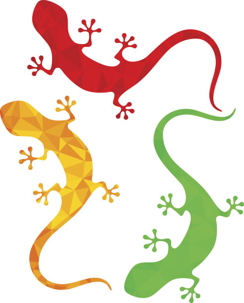 一组抽象的多边形爬行动物图片下载