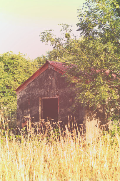 废弃的烟花小屋图片下载