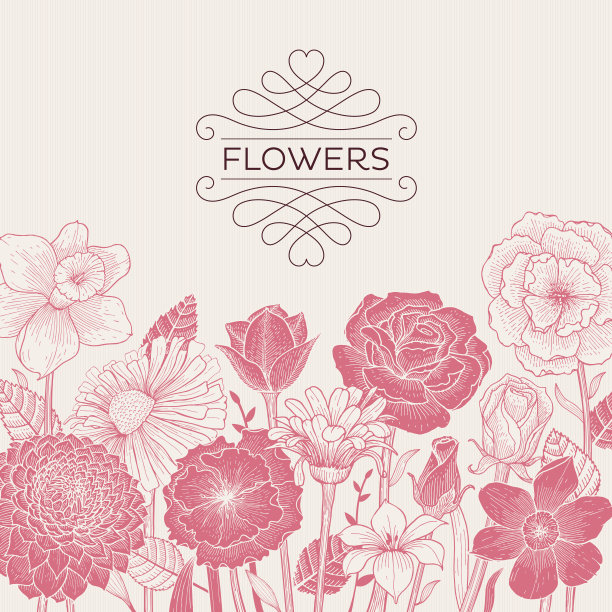 粉红色的花朵素材图片