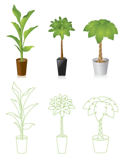 观叶植物图片下载