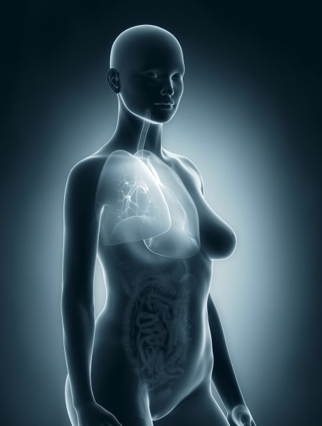 女性呼吸系统解剖学图片下载