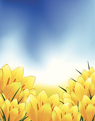 春天的花图片下载