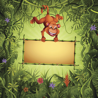 画竹的猴子图片下载