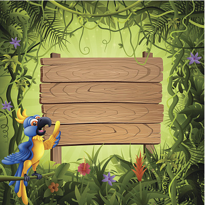 丛林中的鹦鹉和木旗图片下载