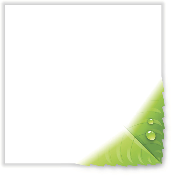 绿色的叶子图片下载