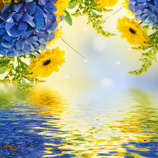 蓝色绣球花的花束图片下载