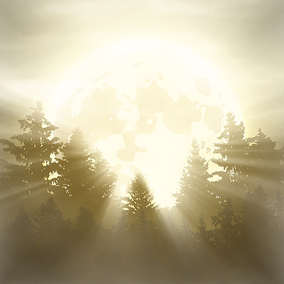 月亮在树图片下载