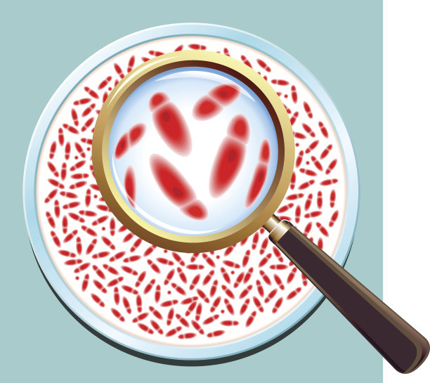 致病性细菌培养图片下载