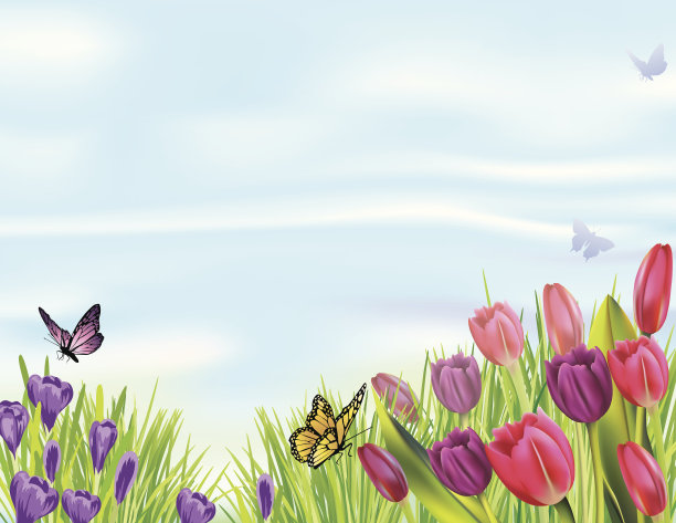 春天的花坛与郁金香和番红花图片下载