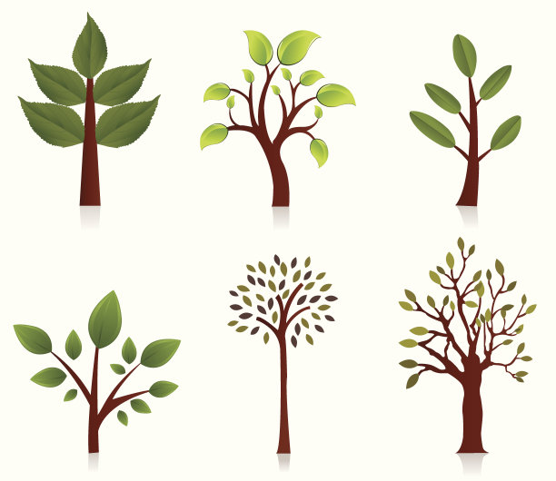 一组六种不同的树的图像图片下载