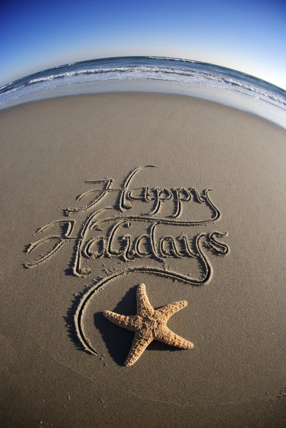 节日快乐，海星图片下载